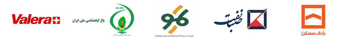 همراهان آرل