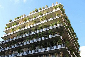 طراحی نمای سبز ساختمان
