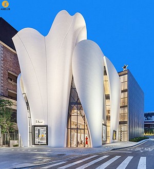 معماری بوتیک Dior کره جنوبی