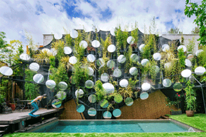 طراحی استخر خصوصی همراه با باغ عمودی خلاقانه