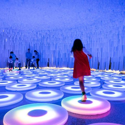 دیوار شگفت انگیز (Wonder Wall) دیوار شگفت انگیز (Wonder Wall)
