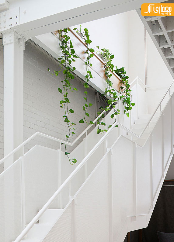 معماری داخلی دفتر اداری Evolution 7 در ملبورن