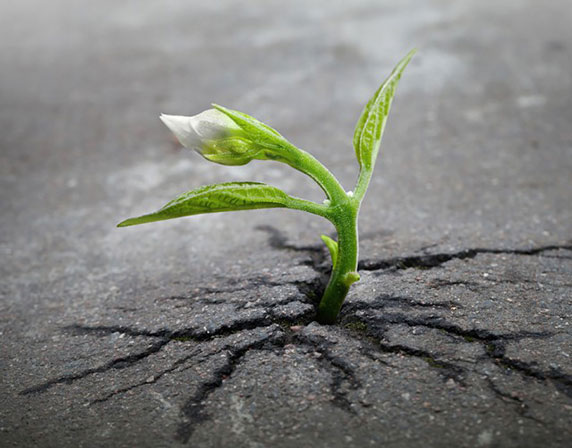 پیروزی طبیعیت در برابر جلوه های تمدن بشر