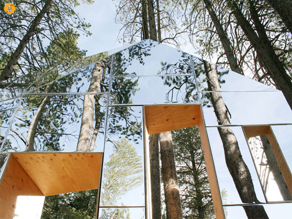 طراحی و معماری خانه مخفی در جنگل