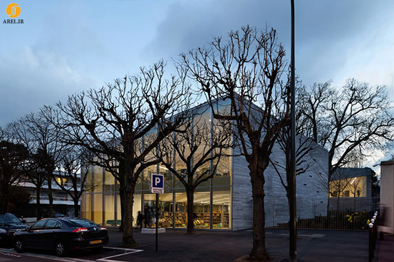 طراحی و معماری کتابخانه با حفظ یک درخت قدیمی