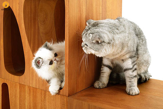 طراحی خانه های چوبی برای گربه ها