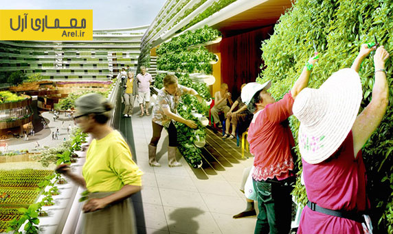 معماری پایدار: معماری مجموعه ای به نام " مزرعه خانه" برای سالمندان