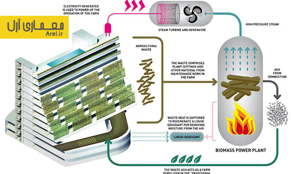 معماری پایدار: معماری مجموعه ای به نام " مزرعه خانه" برای سالمندان