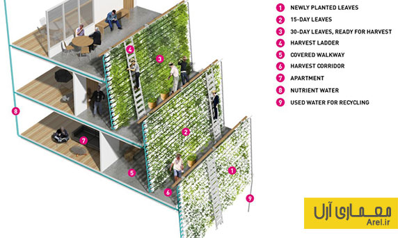 معماری پایدار: معماری مجموعه ای به نام " مزرعه خانه" برای سالمندان