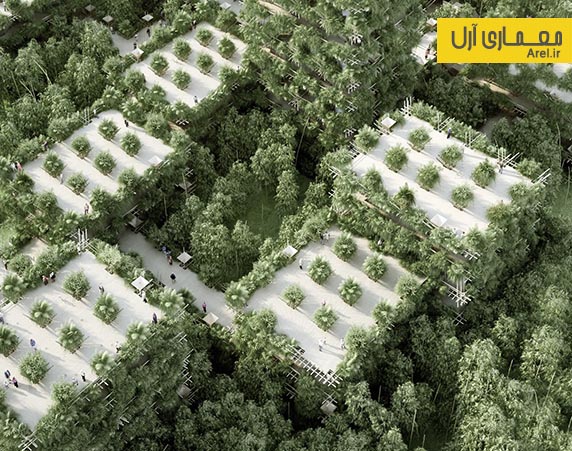 معماری سبز: طراحی شهری برخاسته از جنگل های انبوه بامبو