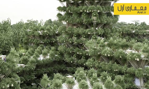 معماری سبز: طراحی شهری برخاسته از جنگل های انبوه بامبو