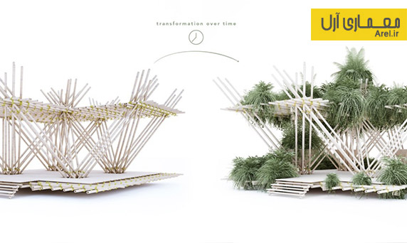 معماری سبز: طراحی شهری برخاسته از جنگل های انبوه بامبو