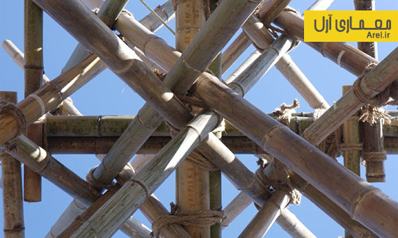 معماری سبز: طراحی شهری برخاسته از جنگل های انبوه بامبو