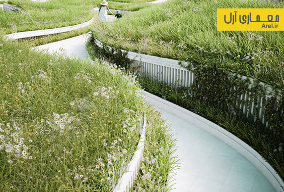 استفاده از خطوط موج دار برای طراحی فضای سبز در نمایشگاه طراحی باغ 2015 چین