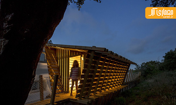 ساخت خانه درختی در کشور پرتغال
