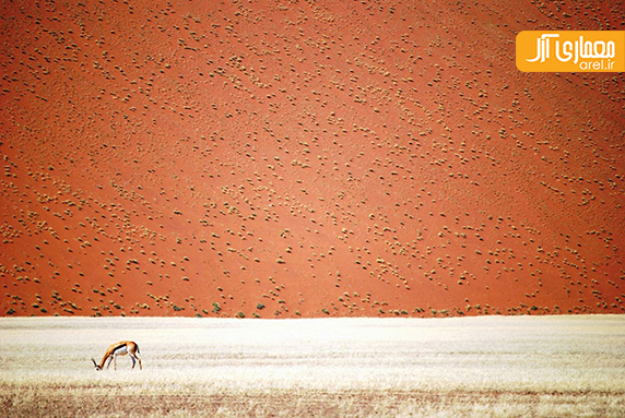 یک شنبه عکاسی: تصاویر منتخب National Geographic در سال 2016 یک شنبه عکاسی: تصاویر منتخب National Geographic در سال 2016