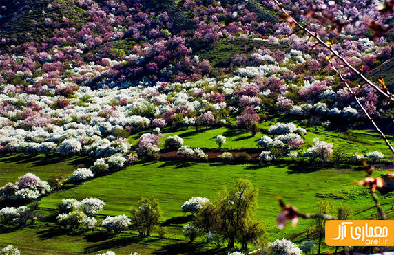 یک شنبه های عکاسی: مناظر دیدنی چین