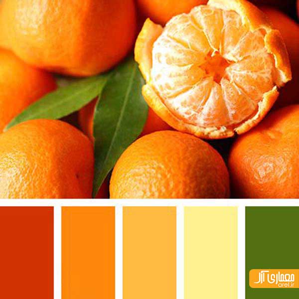 رنگ شناسی با آرل: نارنجی های هیجان انگیز