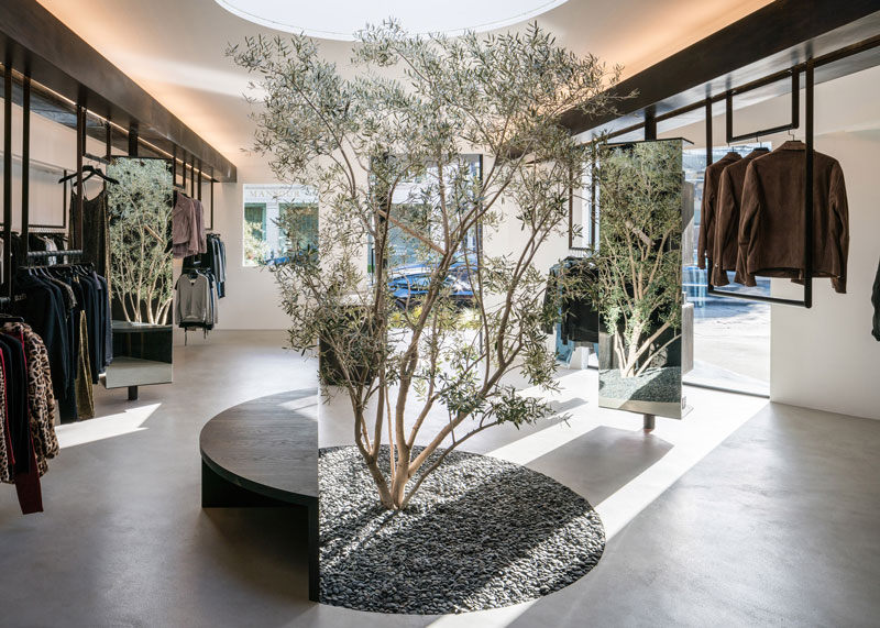 درخت زیتون وسط فروشگاه لباس در لس آنجلس