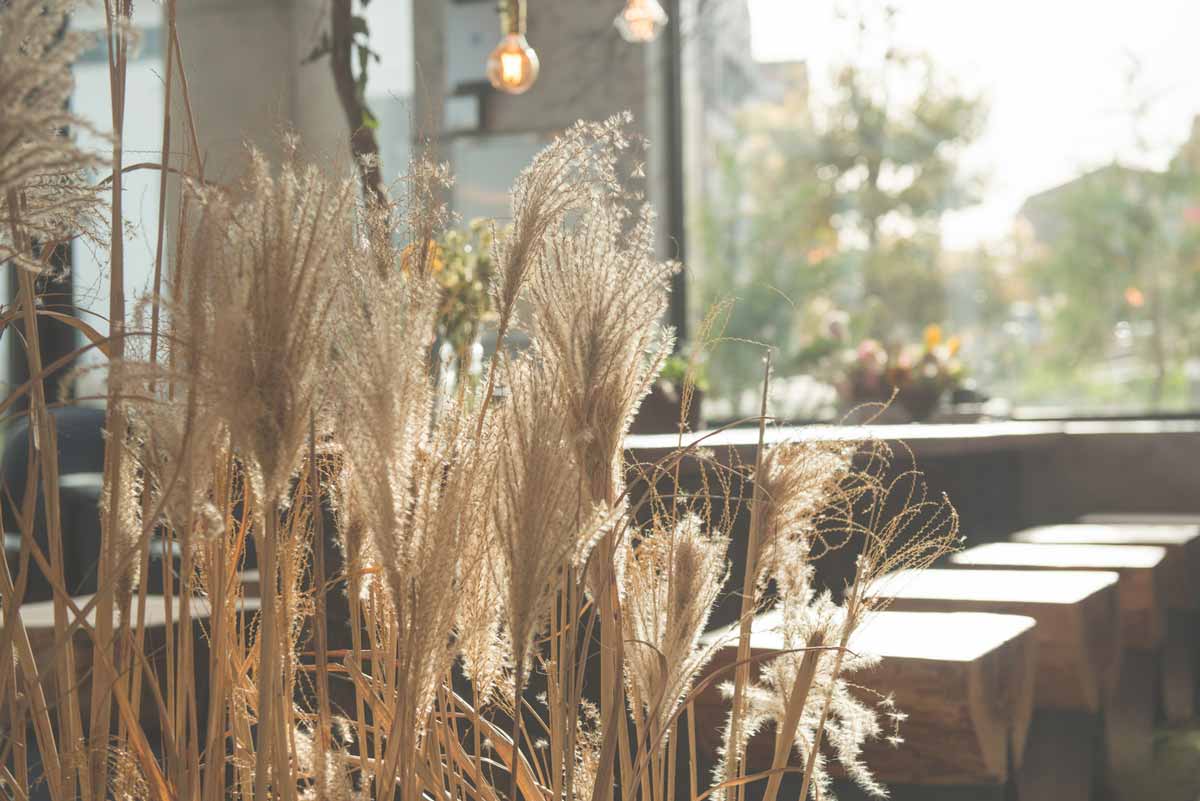 طراحی کافی شاپ