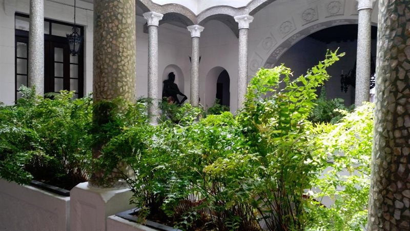 کاخ حواصیل
