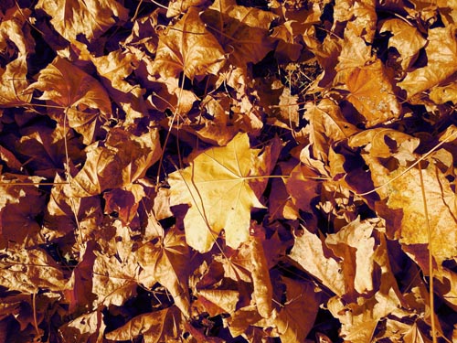 پلان پروژه مسکونی بتنی