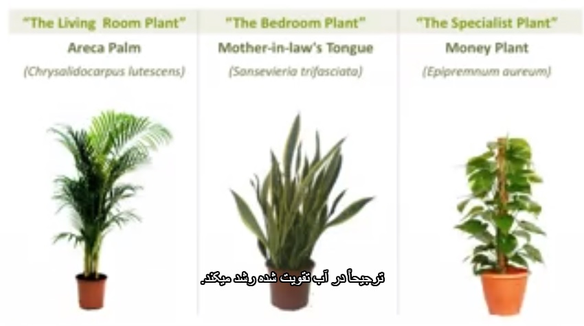 چگونه می توانید در ساختمان هوای پاکیزه تولید کنید؟