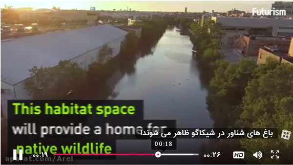 باغ های شناور در شیکاگو ظاهر می شوند!