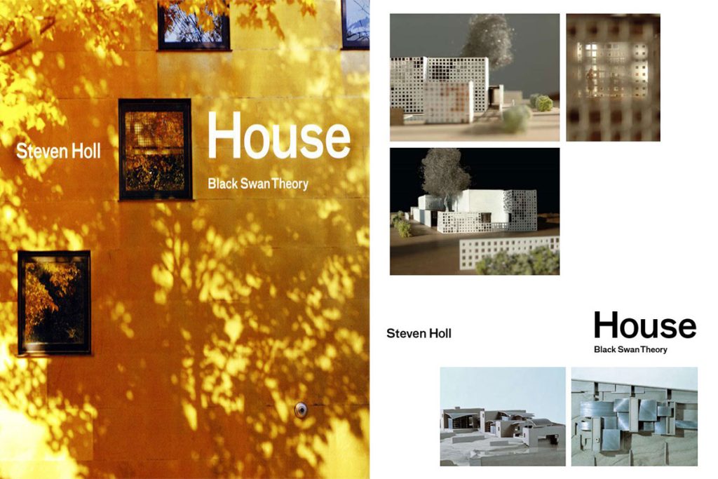 معرفی و دانلود  کتاب House : Black Swan Theory