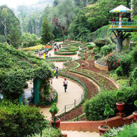 معماری منظر